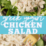 Weight Watchers Chicken Salad Recipe With Greek Yogurt
