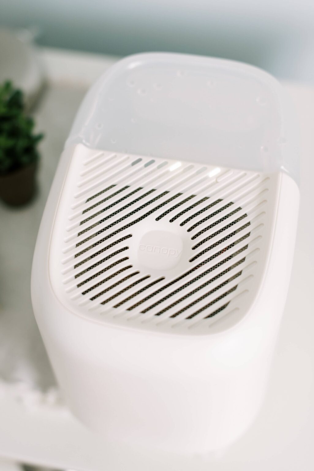 Honest Canopy Humidifier Review The Clean Eating Couple