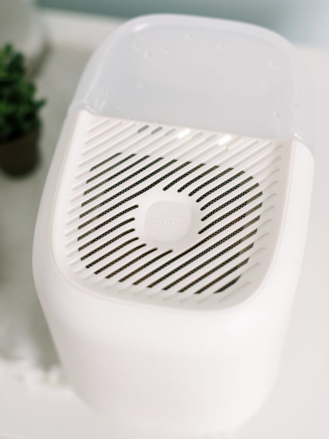 Canopy Humidifier Review The Clean Eating Couple